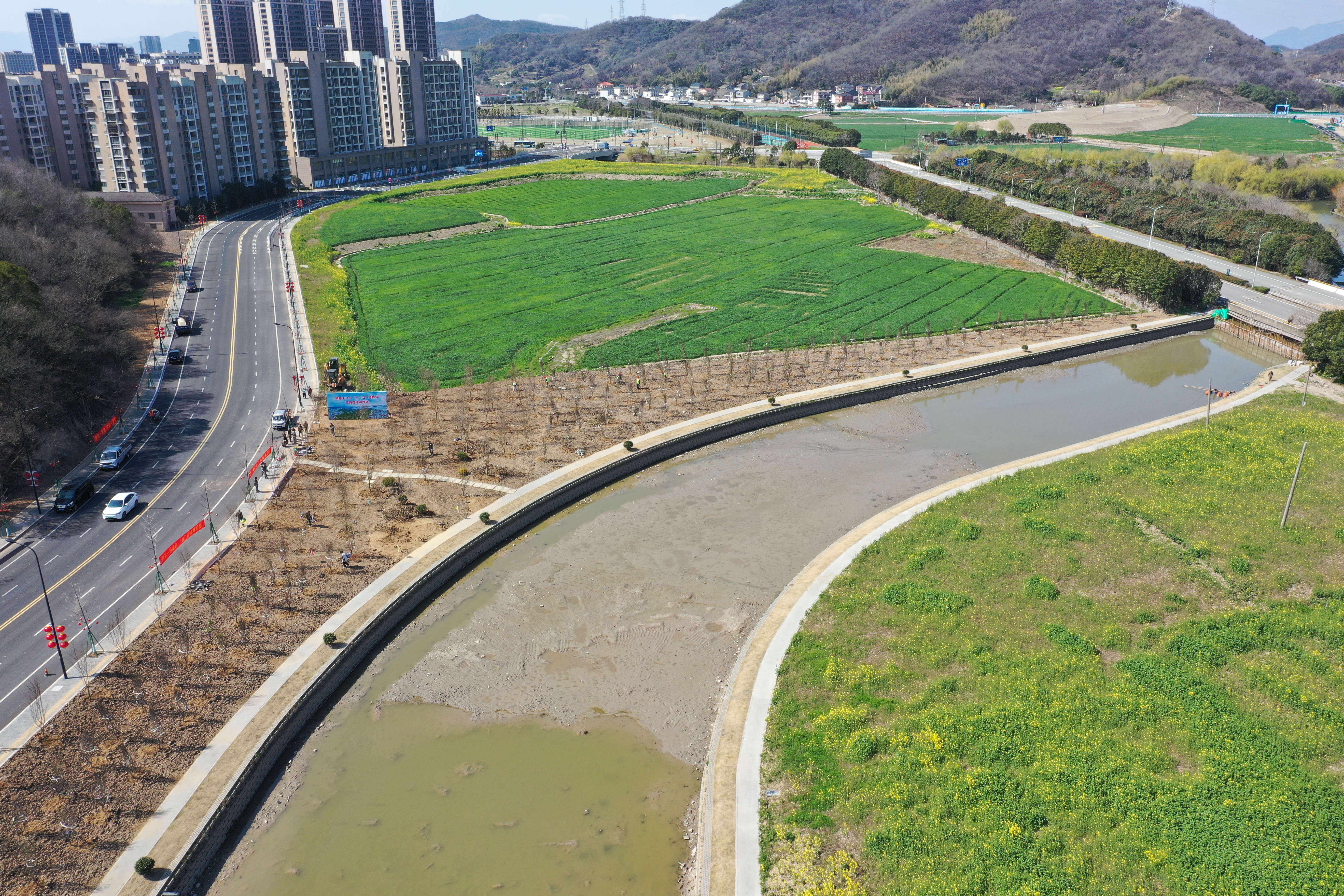 定海區開展春季植樹節活動 添綠賦能美麗家園